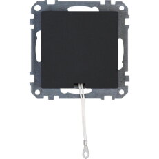 295815000 HK07 - Pull switch with cover,