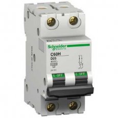 Schneider 25172 C60H jistič 2P 0,5A D
