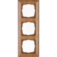 306730007 HK02 - cover frame for vertica