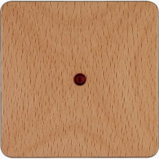 331131006 HK02 - rocker pad with lens -