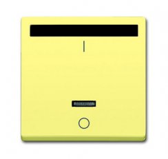 ABB 6020-0-1394 Kryt spínače s infračerveným přijímačem