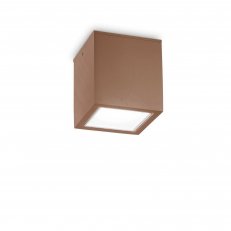 TECHO PL1 BIG COFFEE