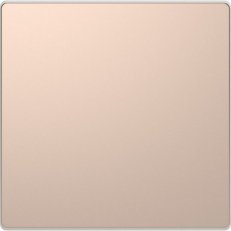 Kryt spínače, Merten D-Life, kov, Brushed Gold    SCHNEIDER MTN3300-6051