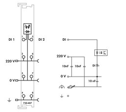 2kanálový binární vstup DC 220V světle šedá WAGO 750-407