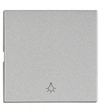 Kryt spínačů a ovladačů, symbol světlo, stříbrný SCHRACK EV122205--
