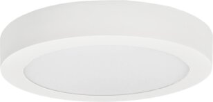 LED FENIX-R White 12W CCT