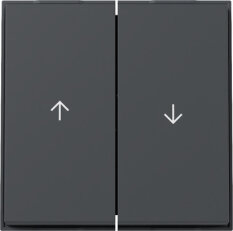 Dvojitá kolébka, symbol šipky TX_44 (IP44) antracit GIRA 329467