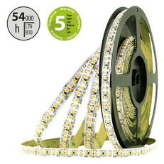 LED pásek SMD3528B 180LED/m 14,4W/m 1241lm/m IP20 DC24V 10mm 5m (pečivo)