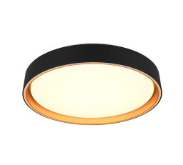 FELIS incl.1x24W LED/2500Lm/2700 - 6500K
