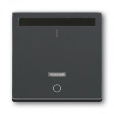 ABB Solo,Future Linear 6020-0-1380 Kryt spínače s infračerveným přijímačem