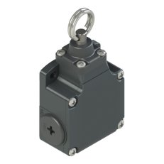 koncový spínač FL576, závit pro vývodku M20x1,5 PIZZATO FL576-M2