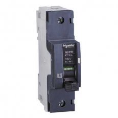 Schneider 18618 NG125N jistič 1P 80A C