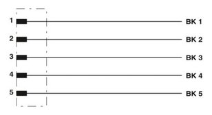 Kabel snímače/akčního členu SAC-5P- 5,0-BF145/M12FS SH NC 1405342