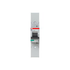 S801S-D40-R jistič 1p char. D 40A pro kabelové oko 50kA ABB 2CCS861002R0401