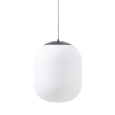 Závěsné LED svítidlo se skleněným stínidlem TANIA S2 HP 59W IP40 DALI 3K černá