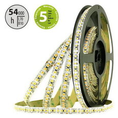 LED pásek SMD3528SF 180LED/m 14,4W/m 1465lm/m IP20 DC24V 10mm 5m (mořské plody)