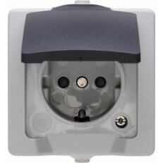 107856005 Earthed socket outlet with hin
