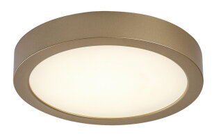 Stropní svítidlo SHAUN PLUS LED 24W 4000K RABALUX 75078