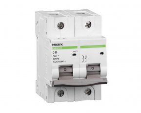 Instalační jistič NOARK 102772 EX9B125 20 kA, char. D, 100 A, 2-pól