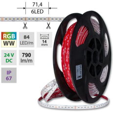LED pásek SMD5050 RGB + WW, 84LED/m, 15W/m, DC24V, 790lm/m, IP67, 14mm, 5m