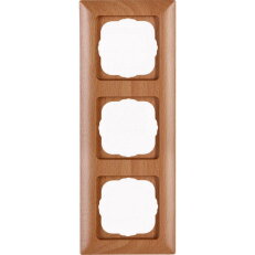 306731008 HK02 - cover frame for vertica