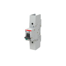 S801P-K125-R; 1 fázový jistič; jmenovitý