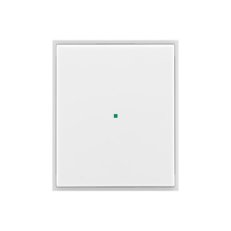 ABB Element,Time Kryt 1násobný bez potisku bílá/ledová bílá 6220E-A01000 01