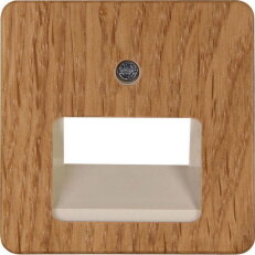 349530181 UAE cover plate for UAE connec