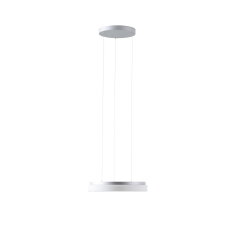 Závěsné LED svítidlo se skleněným stínidlem CARINA LE1 25W IP40 DALI 3K stříbro