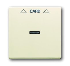 ABB Solo,Future Linear 1710-0-3640 Kryt spínače kartového,s čirým průzorem