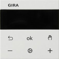 S3000 RPT Display System 55 čistě bílá matná GIRA 539327