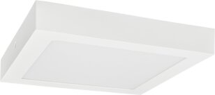 LED FENIX-S White 12W CCT