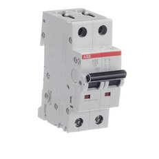 Jistič S202-C63, 2F, 63A, char. C, 6kA, ABB 2CDS252001R0634