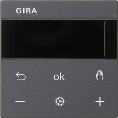 S3000 RPT Display System 55 antracit GIRA 539328