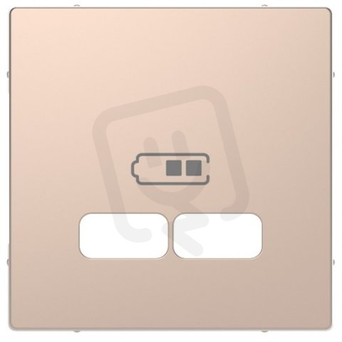 Centrální deska Merten D-Life pro 2xUSB kov Brushed Gold SCHNEIDER MTN4367-6051
