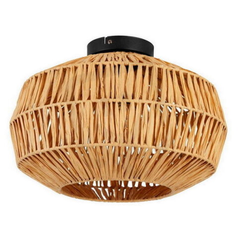 Stropní svítidlo SHELDON E27 40W IP20 černá EGLO 44142