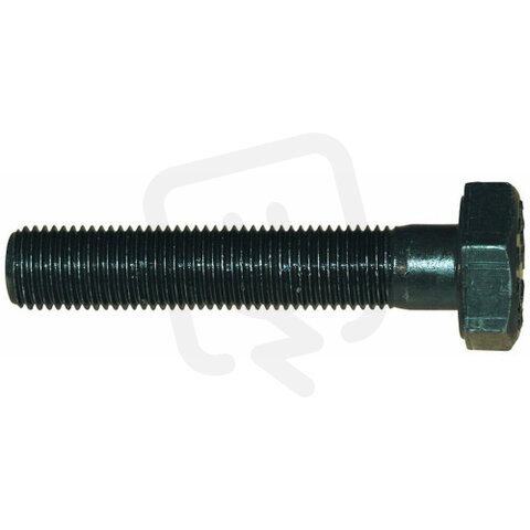 01457 ALFRA náhradní šroub 10x55 speciál