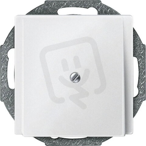 Centrální deska, Merten System M, s vývodkou, polar white, matný plast 295619