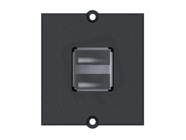 Bachman 917.141 Custom Module 2-way USB