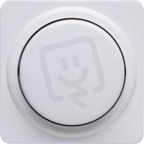 493313186 EUROPA - Cover plate for dimme