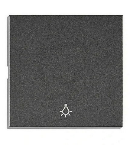 Kryt spínačů a ovladačů, symbol světlo, antracit SCHRACK EV112205--