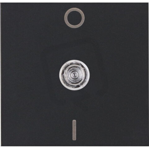 491993009 HK07 - Rocker pad for 2-pole s