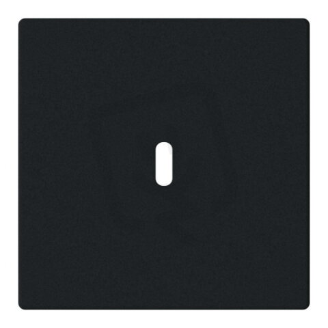 ABB 6479-885 Kryt pro přístroj nabíjecí USB-C (65 W), mechová černá