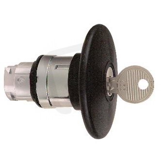 ZB4BS22 Ovl. hlavice s hřibovým knoflíke