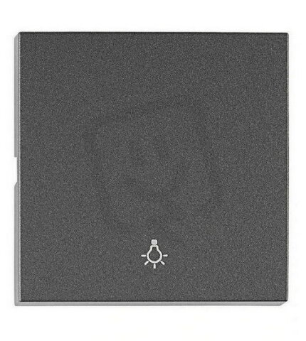 Kryt spínačů a ovladačů, symbol světlo, antracit SCHRACK EV112305--