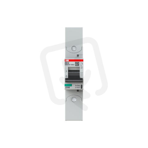 S801P-K80-R; 1 fázový jistič; jmenovitý