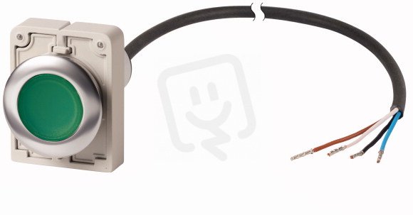 Eaton C30C-FDRL-G-K10-24-P65 Prosvětlené tlačítko, aretace, 24V AC/DC,zelená, 1Z