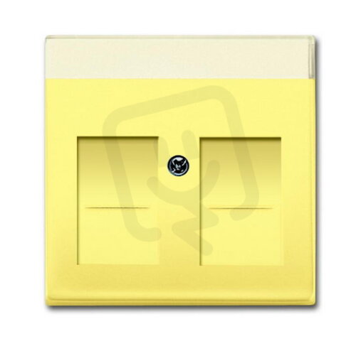 ABB 1710-0-3836 Kryt zásuvky komunikační, s krycími clonkami (pro 2 zásuvky)