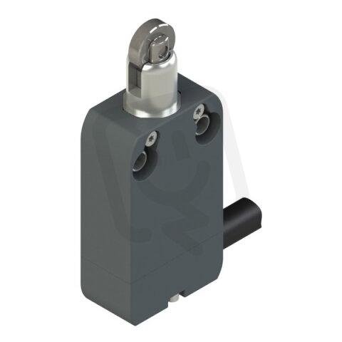 Koncový spínač NFG110BB s kabelem 2m - standard PIZZATO NFG110BB-DN2