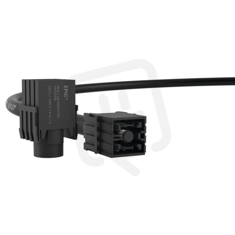 EPIC MHS 1 CM 250A protected